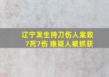 辽宁发生持刀伤人案致7死7伤 嫌疑人被抓获